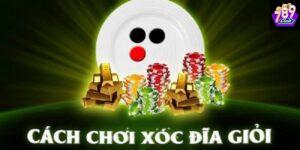 Hiểu rõ luật chơi xóc đĩa để bắt đầu chính xác